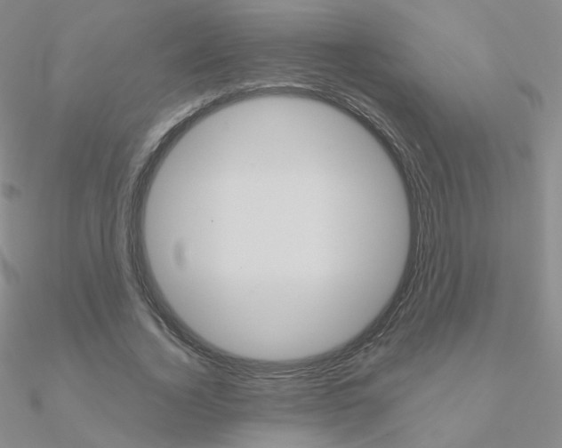 X0000090960732200708021121