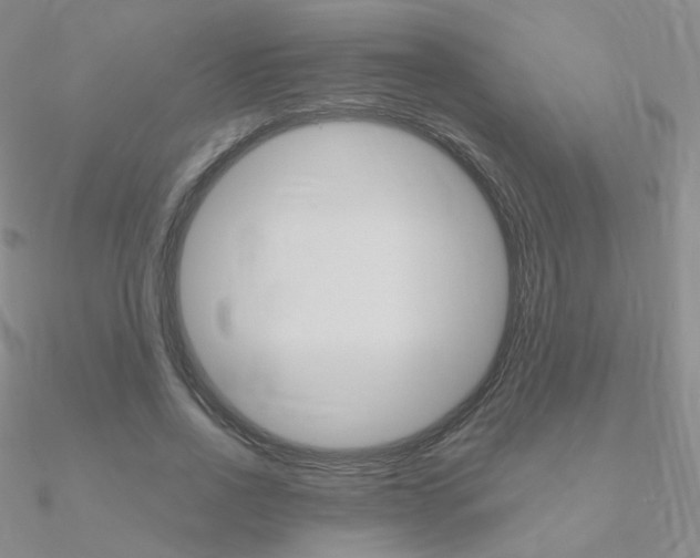 X0000090960734200708021121