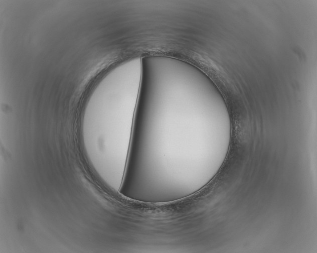 X0000090960735200708021121