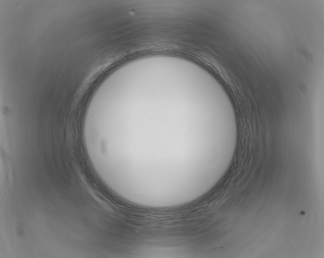 X0000090960736200708021121