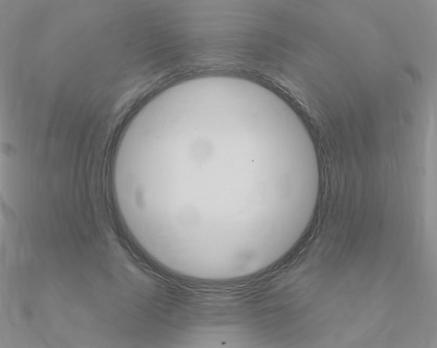 X0000090960740200708021121