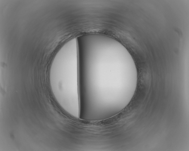 X0000090960743200708021121
