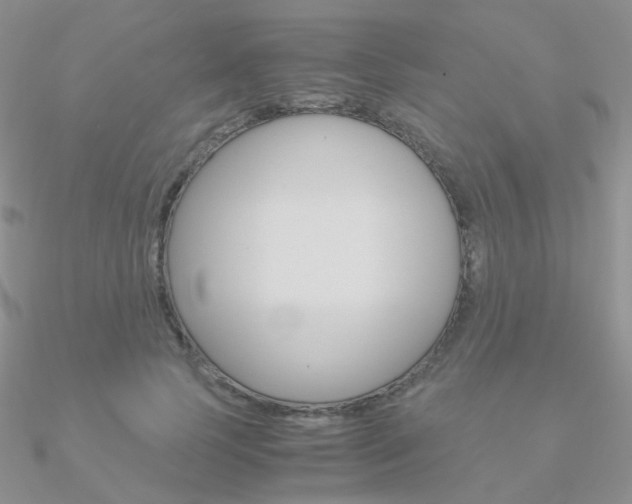 X0000090960745200708021121