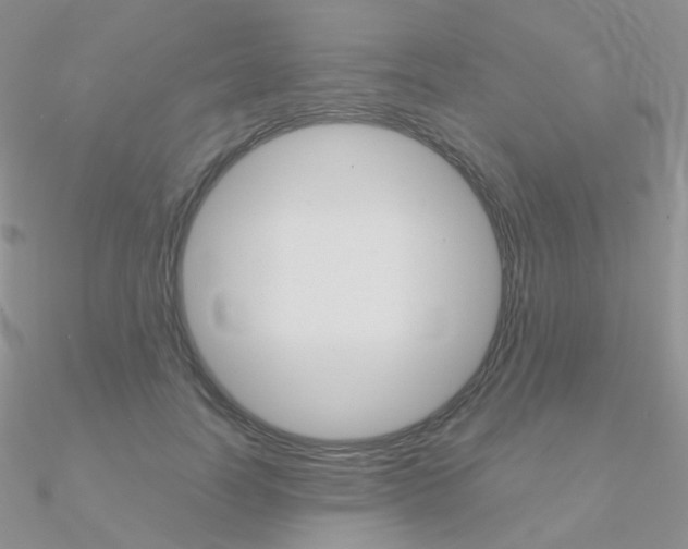 X0000090960746200708021121