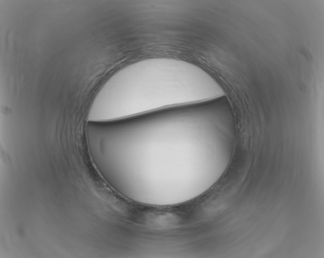 X0000090960747200708021121