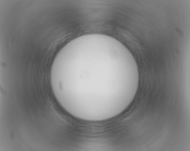 X0000090960748200708021121
