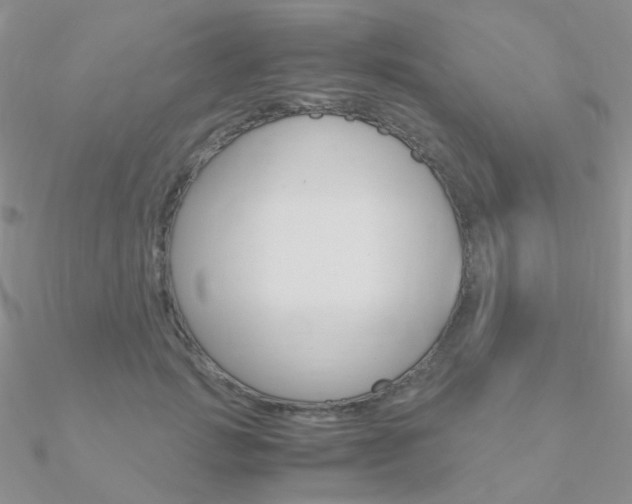 X0000090960749200708021121