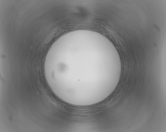 X0000090960750200708021121