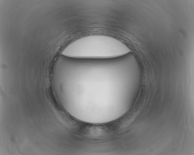 X0000090960751200708021121