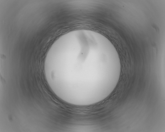 X0000090960752200708021121