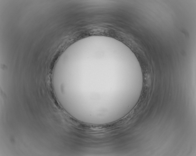 X0000090960753200708021121