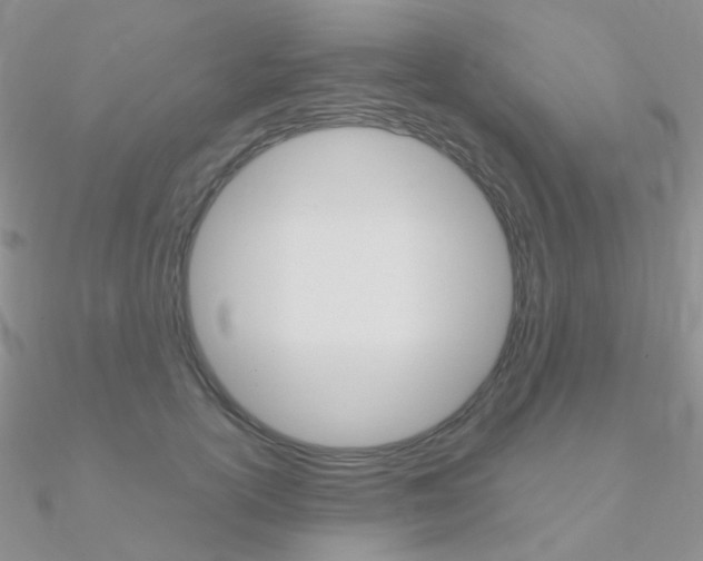 X0000090960754200708021121