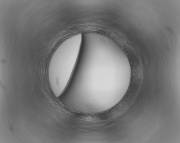 X0000090960755200708021121