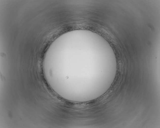 X0000090960757200708021121