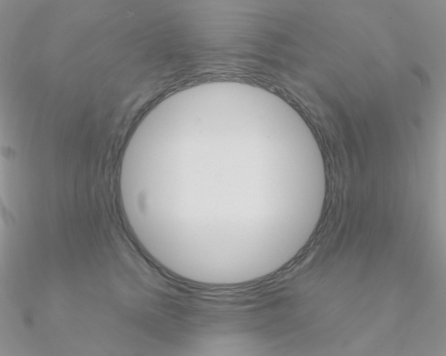 X0000090960758200708021121