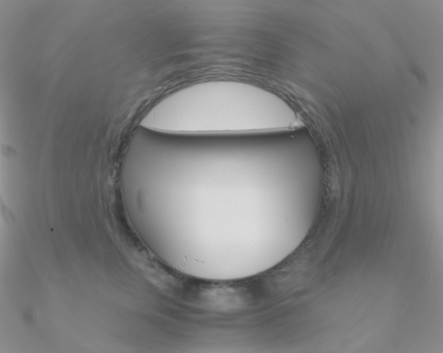 X0000090960759200708021121