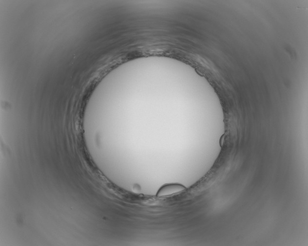 X0000090960761200708021121