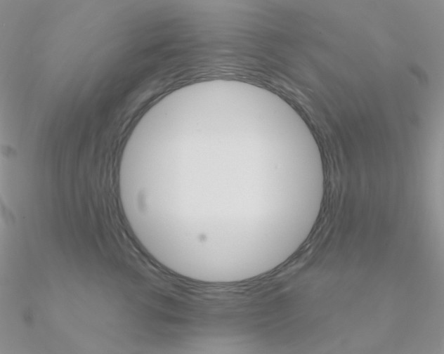 X0000090960762200708021121