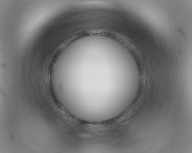 X0000090960763200708021121