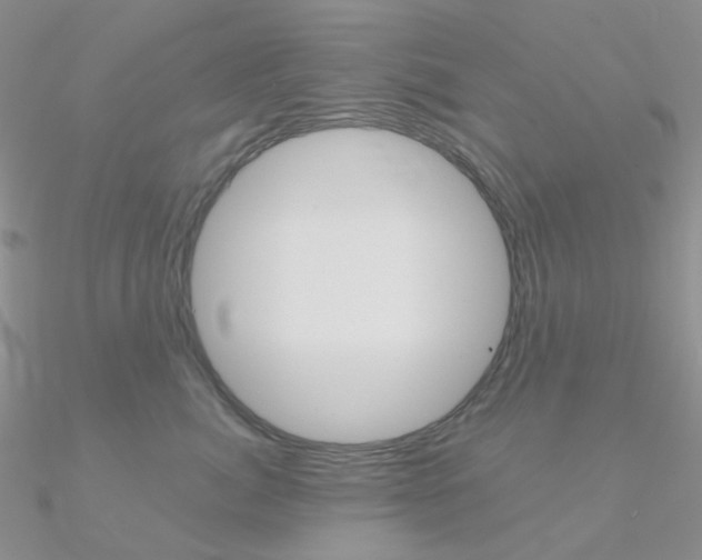 X0000090960764200708021121