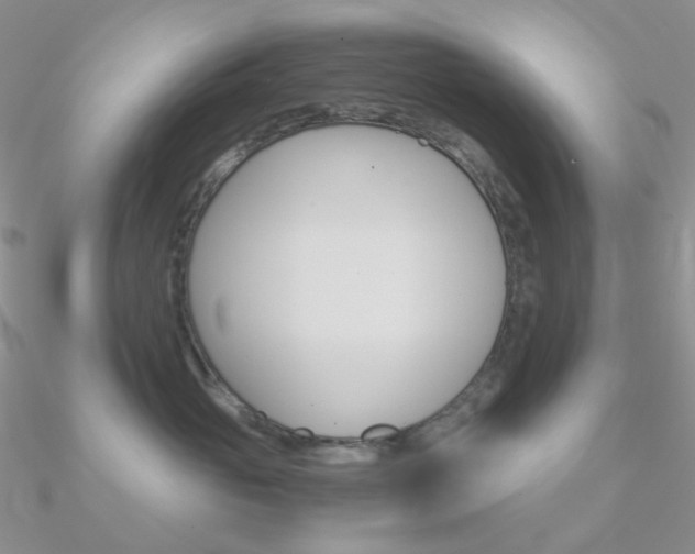 X0000090960765200708021121