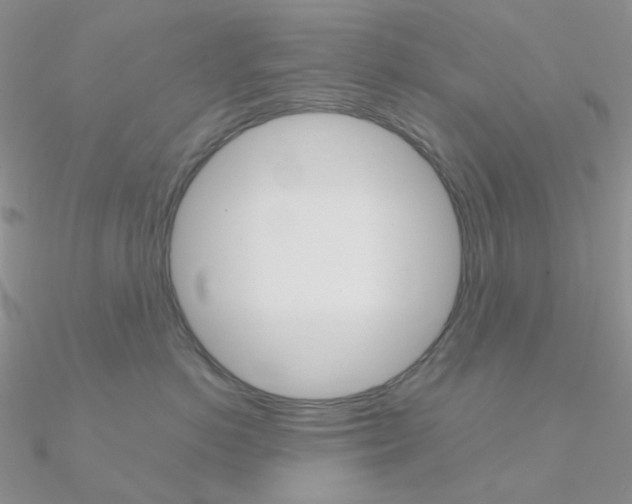 X0000090960766200708021121