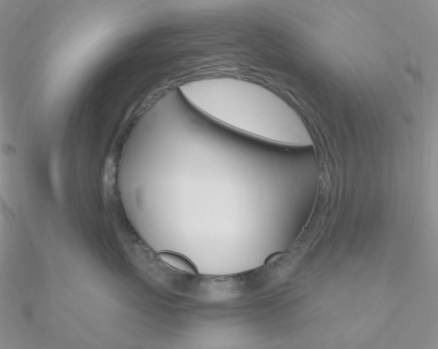 X0000090960767200708021121