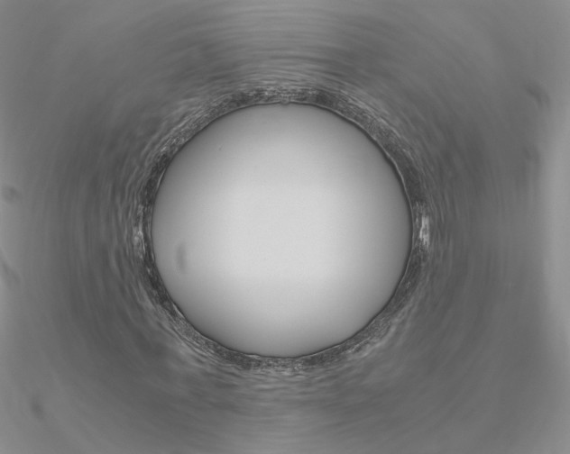 X0000090960771200708021121