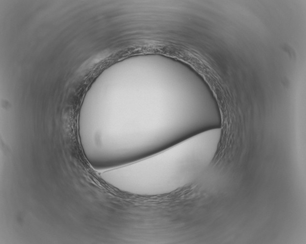 X0000090960773200708021121