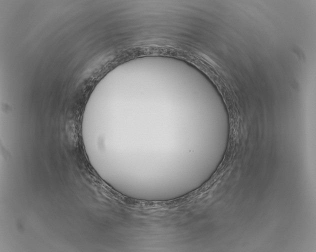X0000090960774200708021121