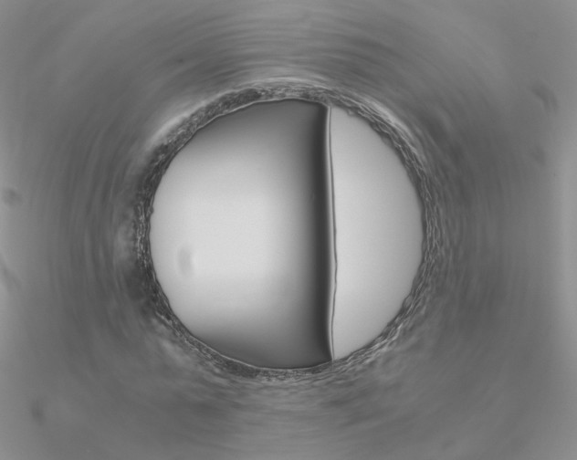 X0000090960775200708021121
