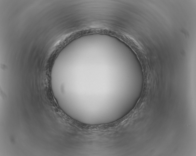 X0000090960776200708021121