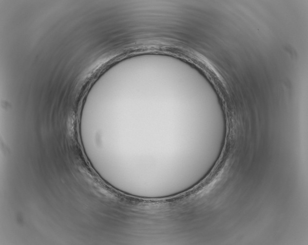 X0000090960778200708021121