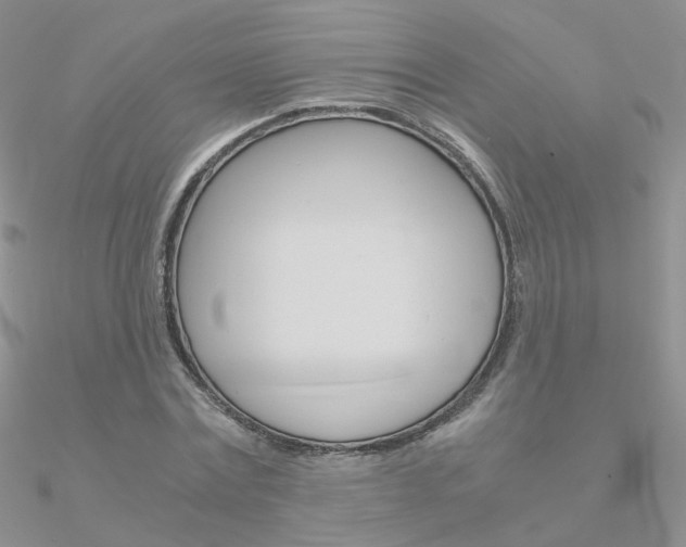 X0000090960779200708021121