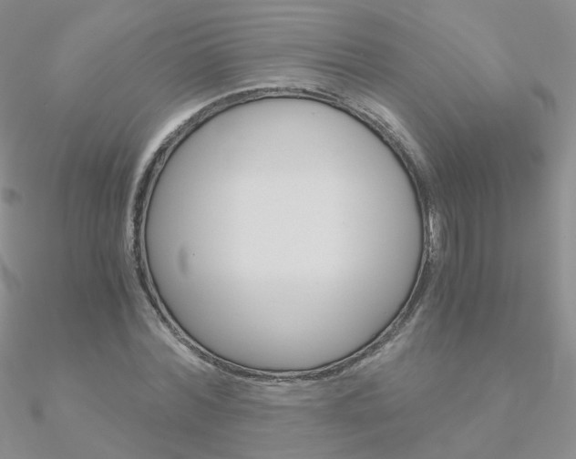 X0000090960780200708021121