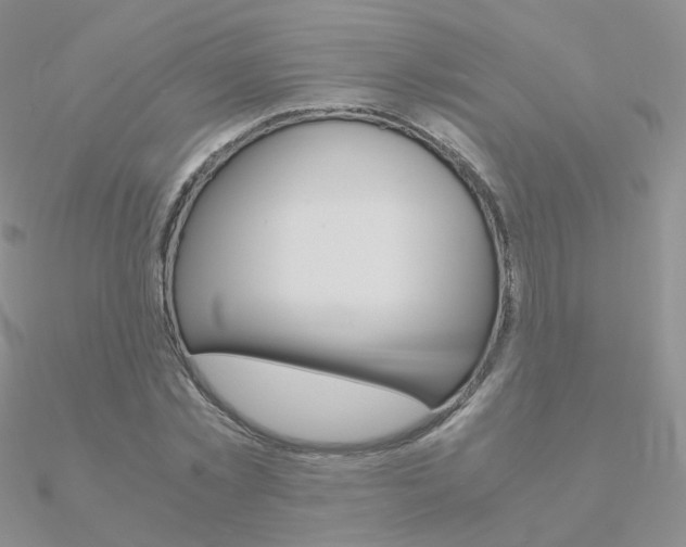 X0000090960781200708021121