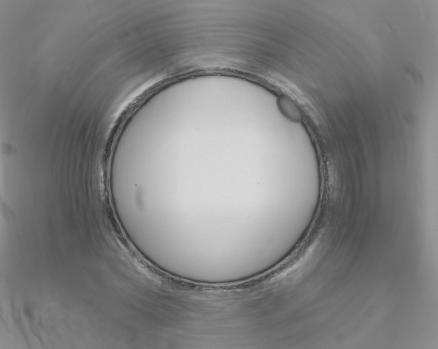 X0000090960782200708021121