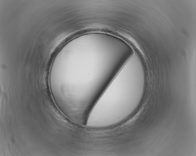 X0000090960783200708021121