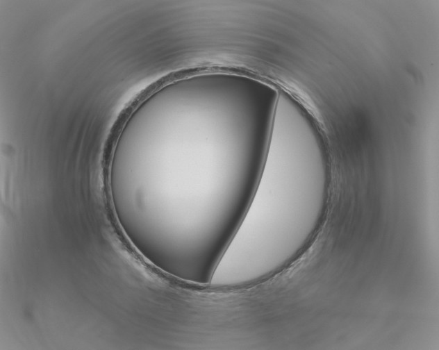 X0000090960784200708021121