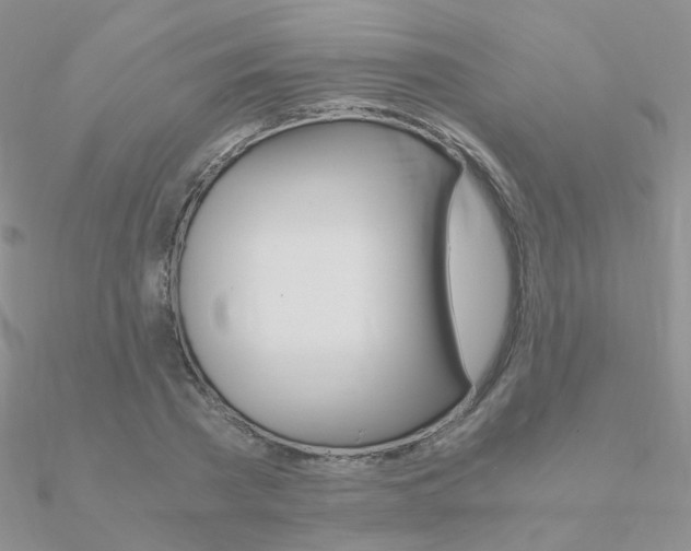 X0000090960785200708021121