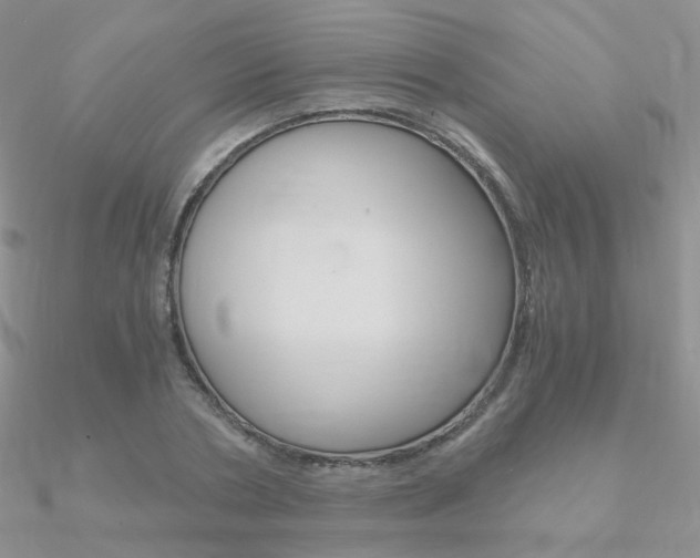 X0000090960786200708021121
