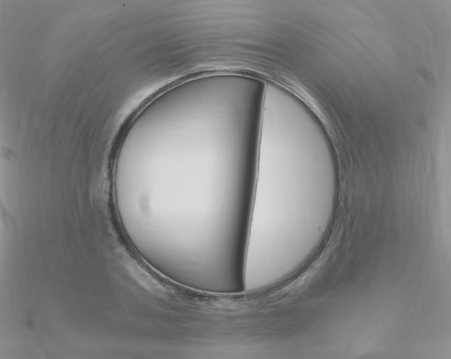 X0000090960787200708021120