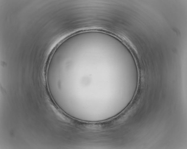 X0000090960789200708021120