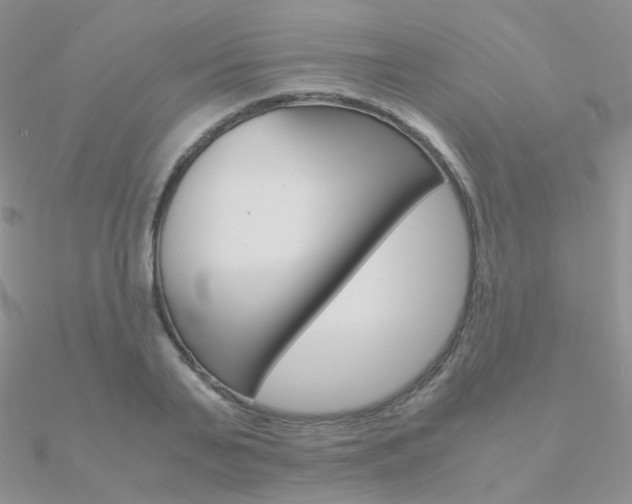 X0000090960791200708021120
