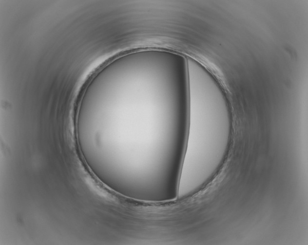X0000090960792200708021120