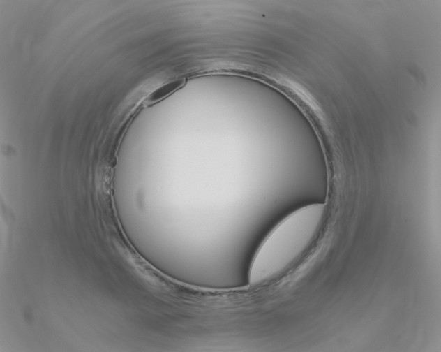 X0000090960793200708021120