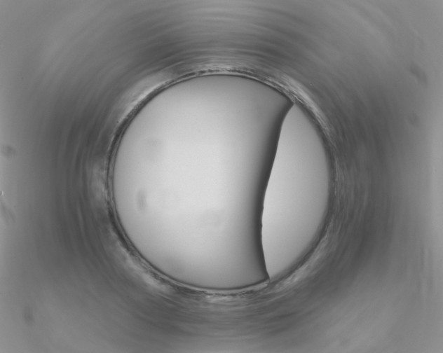 X0000090960794200708021120