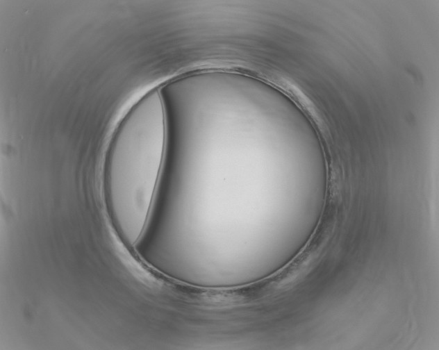 X0000090960795200708021120