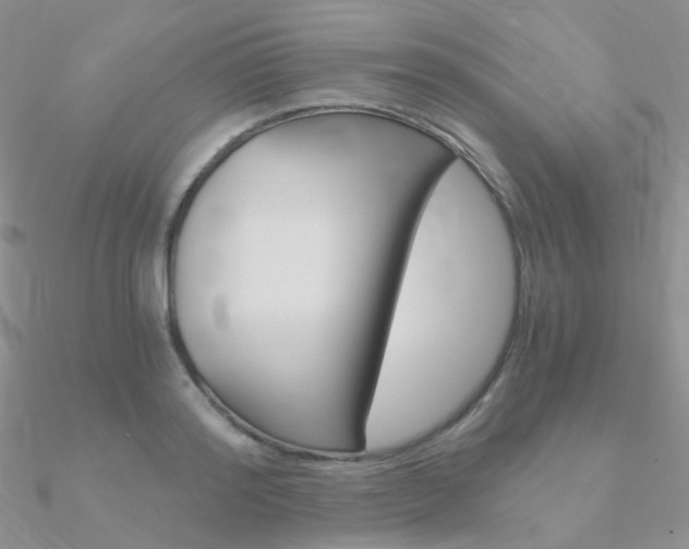 X0000090960796200708021120