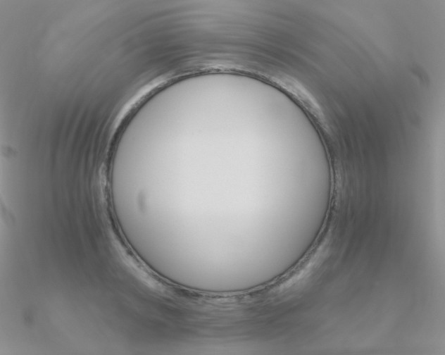 X0000090960798200708021120